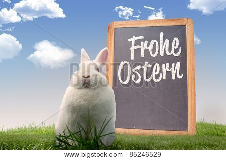 Easter bunny against frohe ostern
