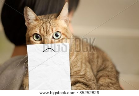 Cat lie on shoulder of woman stare at you with a drawing on paper. Concept of unhappy emotion.