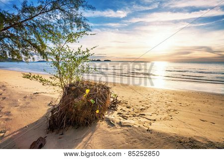 Tropical beach in ebb time on sunset background