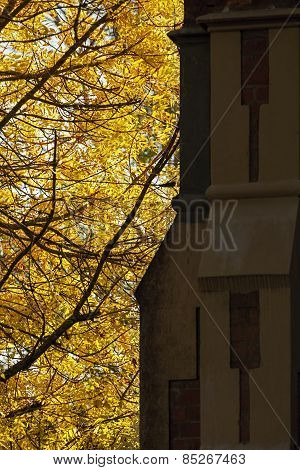 Autumn Tree Beside Old Church