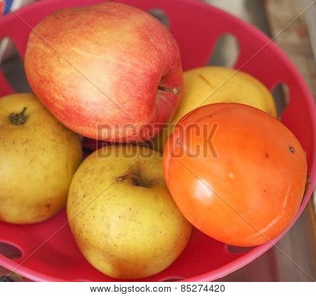 Apple Fruit