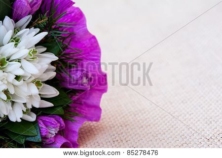 Snowdrop flowers bouquet with fir twigs