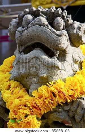 Demon In The Temple Bangkok Asia  Flower