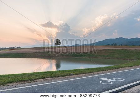 Bicycle Path In The Park
