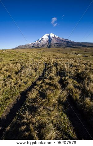 Chimborazo Volcano And Paramo