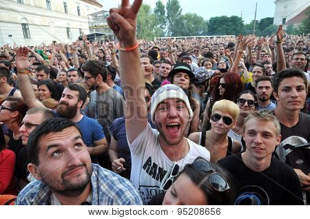 Crowd of people at a concert