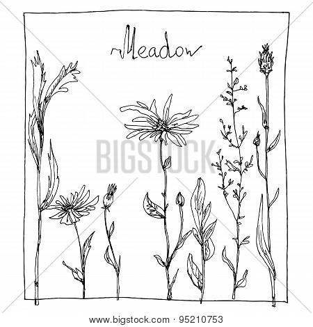 floral composition