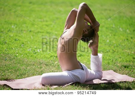 King Pigeon Pose On Lawn