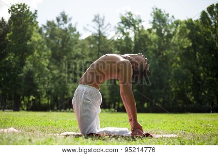 Yoga Ushtrasana Pose In Park