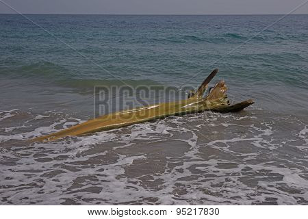 Wooden flotsam on caribbean beach