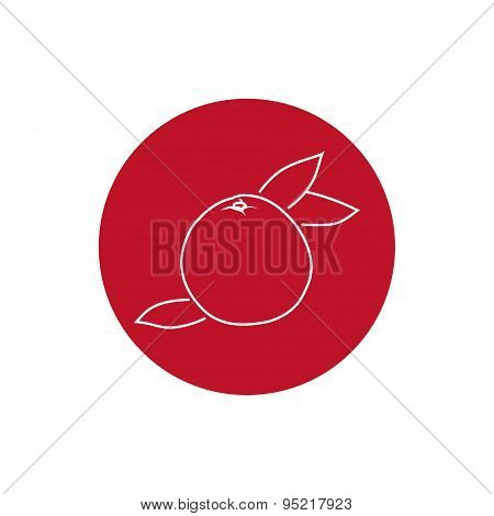 Icon Grapefruit  In The Contours
