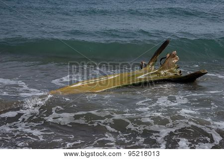 Wooden flotsam on caribbean beach
