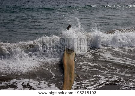 Wooden flotsam on caribbean beach