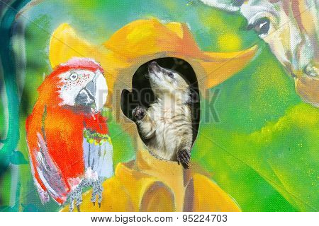 Baby Coati On A Painted Wall