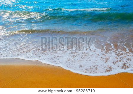 Golden Shore In Porto Ferro