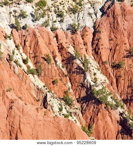 The    Dades Valley In Atlas Moroco Africa Ground Tree  And Nobody