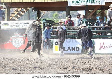 Ty Pozzobon Invitational Pbr