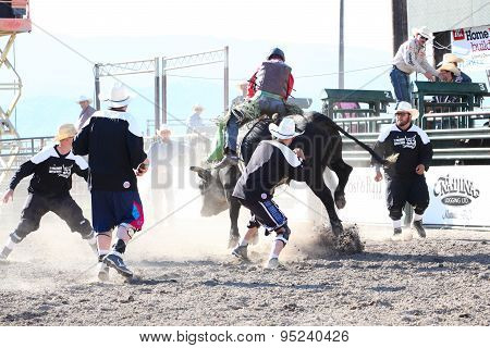 Ty Pozzobon Invitational Pbr