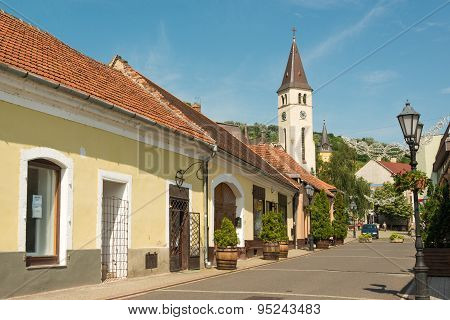 Tokaj town