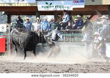 Ty Pozzobon Invitational Pbr