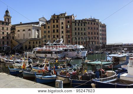 Camogli Harbor In Italy