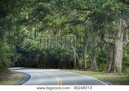 Driving on Edisto
