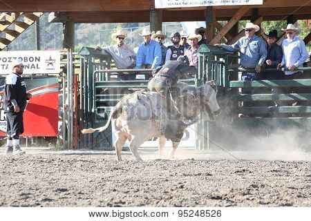 Ty Pozzobon Invitational Pbr