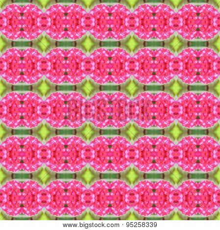 Pink Celosia Argentea Seamless