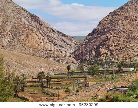 Agricultural landscape on Fuerteventura