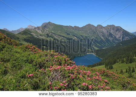 Alpenrosen And Lake Arnensee