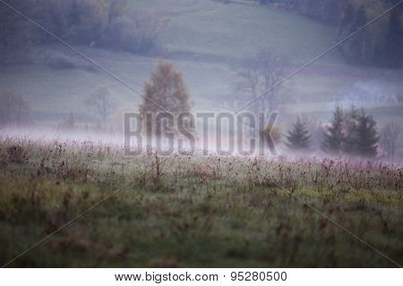 Phenomenon of nature - Stolowe ( Table ) Mountains - rock formations in National Park - Poland near