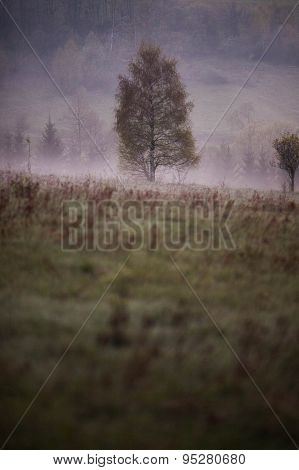 Phenomenon of nature - Stolowe ( Table ) Mountains - rock formations in National Park - Poland near