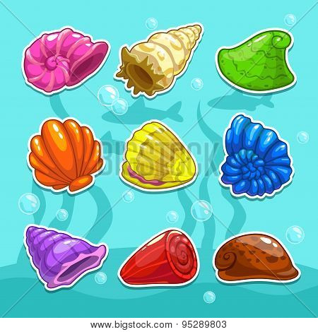 Shells Set