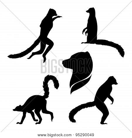 Vector silhouettes of a lemur.