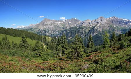 Summer Landscape Near Gstaad