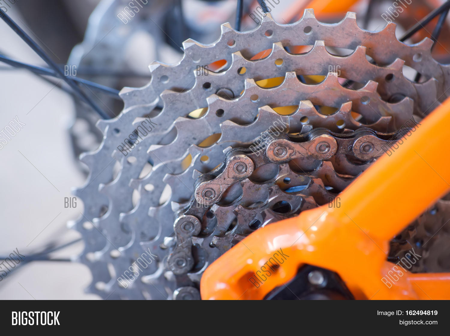 Bicycle Gears Cassette Image & Photo (Free Trial) Bigstock