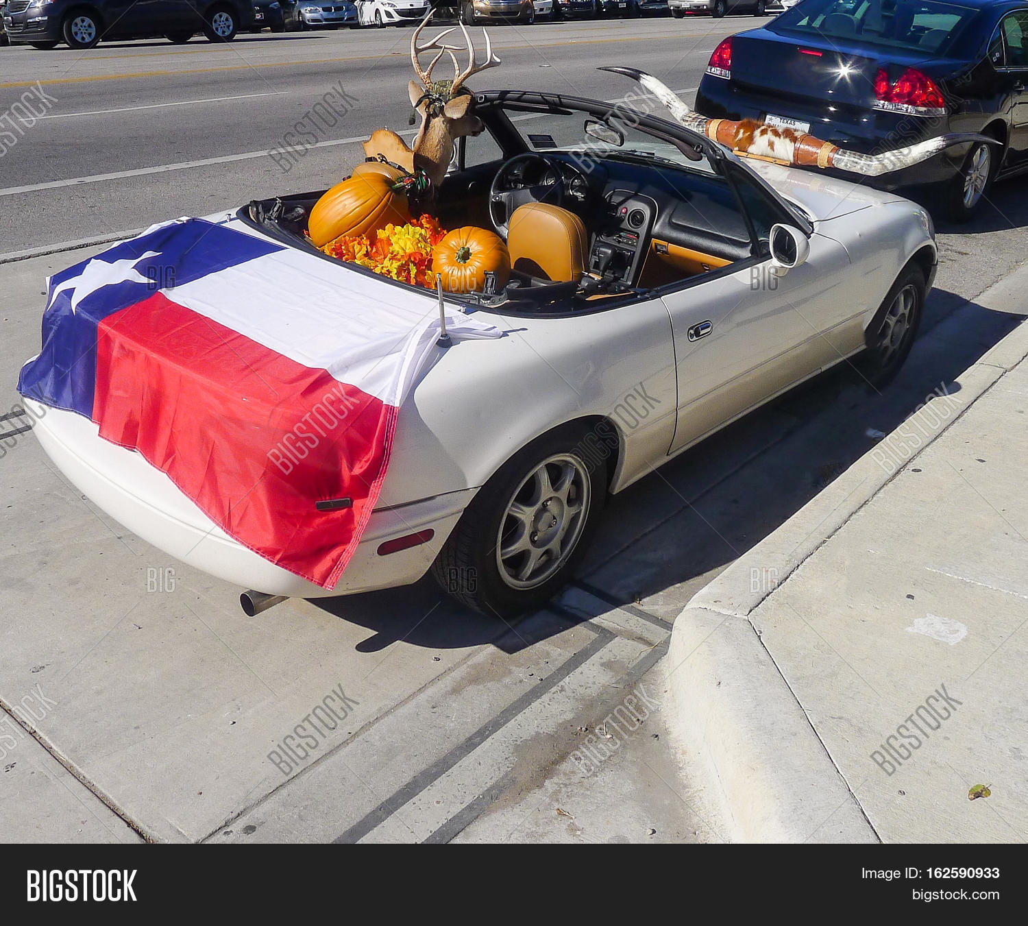 Deer Driving Car Image & Photo (Free Trial) Bigstock