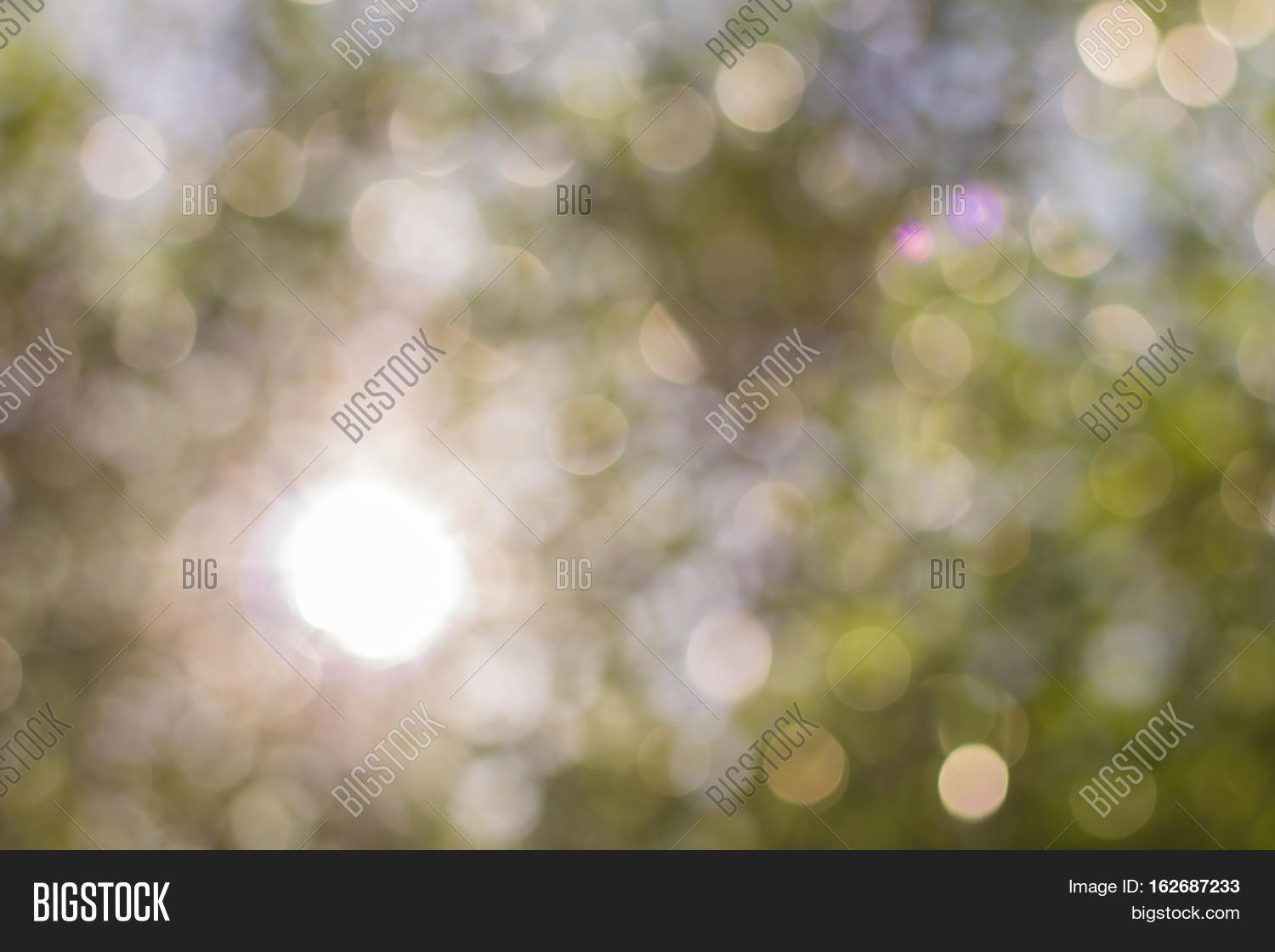 Blurred Tree Image & Photo (Free Trial) | Bigstock