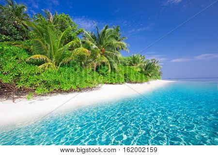 Tropical Island With Sandy Beach With Palm Trees And Turquoise Clear Water