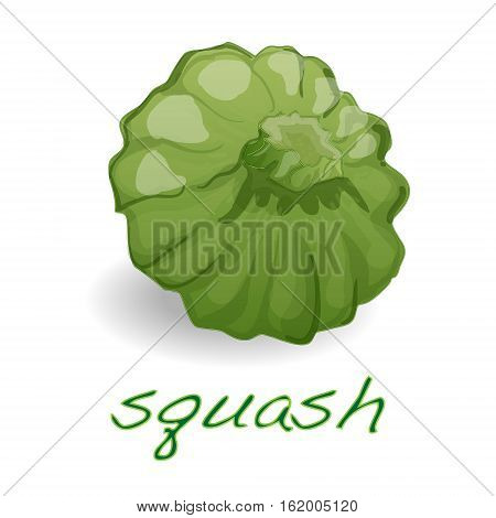 Scalloped custard squash (Cucurbita pepo var. patisson) isolated
