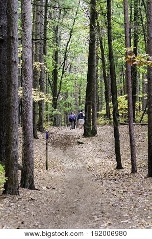 East Providence Rhode Island USA - October 13 2008: Hikers strolling through woods near Turner Reservoir