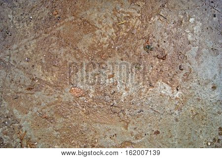 Stones, Withered Grass And Dirt