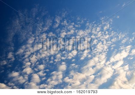 blue sky with white clouds on sunset.many little white clouds creating a tranquil weather pattern on a blue background.