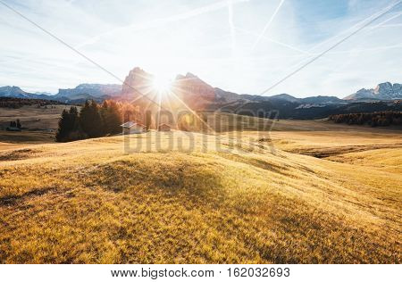 Lovely yellow pasture in sunlight. Unusual and gorgeous scene. Location place Dolomiti, Compaccio village, Seiser Alm or Alpe di Siusi, Province of Bolzano - South Tyrol, Italy, Europe. Beauty world.