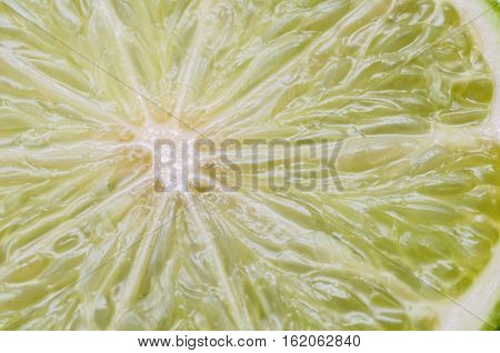 Closeup view of a slice of lime. High resolution frontal view showing compartmentalized structures.