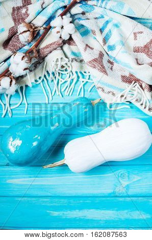 White and blue Pumpkins with plaid on rustic blue background.