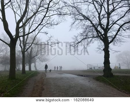 HAMPSTEAD, LONDON - DECEMBER 17: Dogs and walkers in the fog on a misty Hampstead Heath on December 17, 2016 in Hampstead, London, UK.