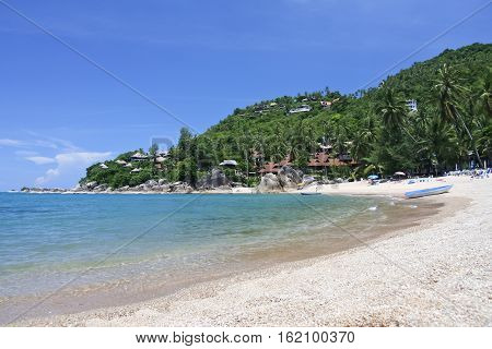 tropical palm trees around coral cove beach near lamai on ko samui island in the guld of thailand