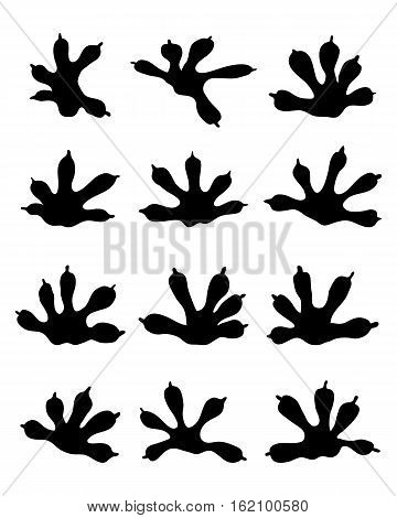 Black tracks of lizards on a white background