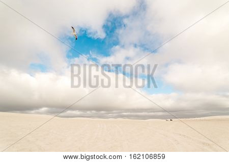 View of Lancelin Sand Dunes in Western Australia. This place for Surfing in Sand. Famous of Families enjoying. Landscape View .